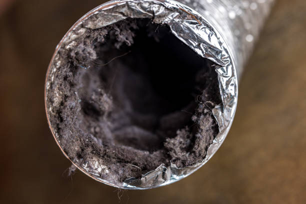 Best Affordable Duct Cleaning Services  in Spackenkill, NY